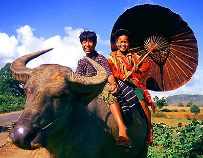Yangon package tour 3 days